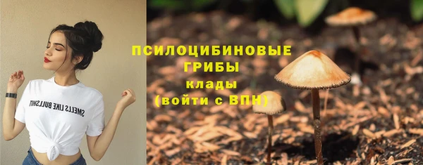 индика Богданович