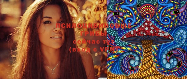 сатива Богородицк