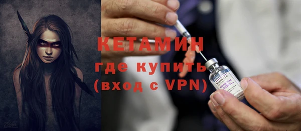 индика Богданович