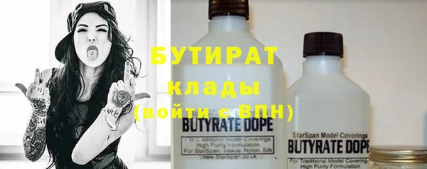индика Богданович