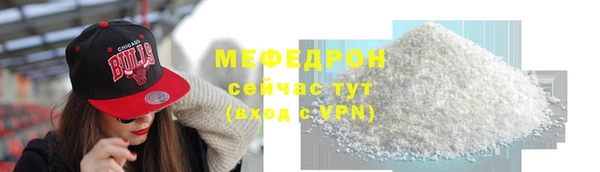 индика Богданович