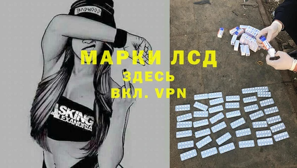 сатива Богородицк