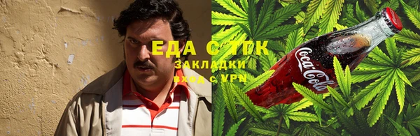 индика Богданович