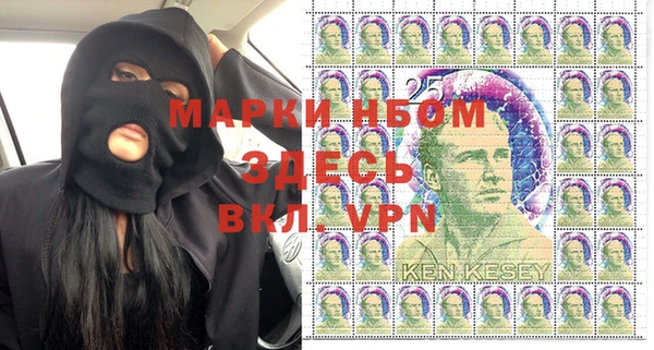 индика Богданович