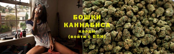 сатива Богородицк