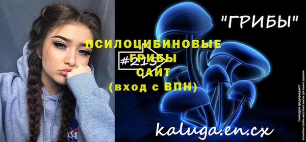 сатива Богородицк