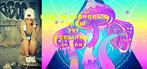 индика Богданович