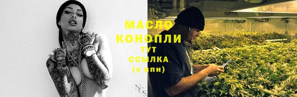 индика Богданович