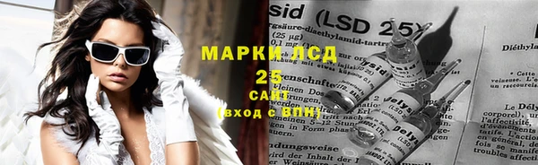 индика Богданович