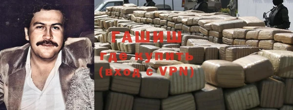 индика Богданович
